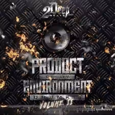 2DEEP Product Of My Environment Vol.2 [WAV]