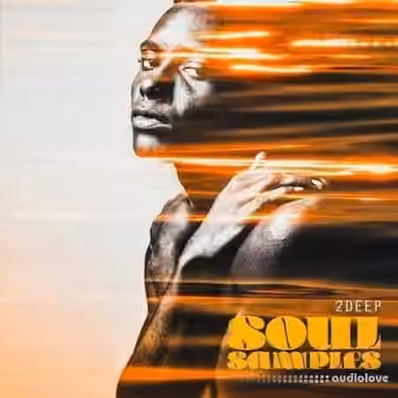 2DEEP Soul Samples [WAV]