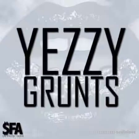 3 Digi Audio Yezzy Grunts [WAV, MiDi]