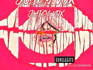 5DOLLAKITS Juicy Vox [WAV]