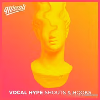 91Vocals Vocal Hype Shouts and Hooks [WAV]