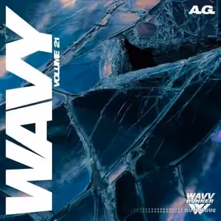 A G Wavy Sample Pack Vol.21 [WAV]