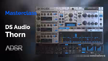 ADSR Sounds The Complete Guide To DS AUDIO THORN [TUTORiAL]