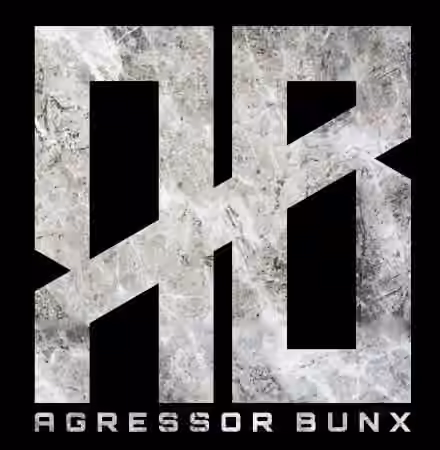 Agressor Bunx Drum n Bass Samples Patreon Pack Vol.1-10 [WAV]