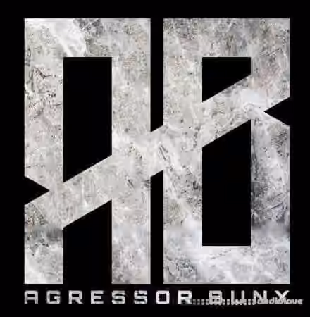 Agressor Bunx Serum Drum n Bass Presets Patreon Pack Vol.21-31 [Synth Presets]