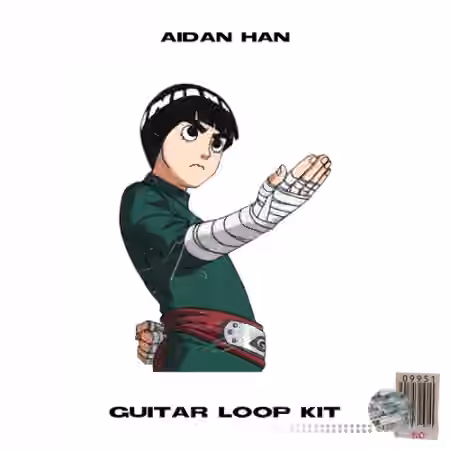 Aidan Han rock lee [guitar loop kit] [WAV]
