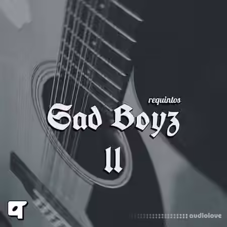 Akyai Requintos Sad Boyz ii [WAV]