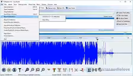 AlpineSoft VinylStudio v9.0.5 / v9.0.3 [WiN, MacOSX]