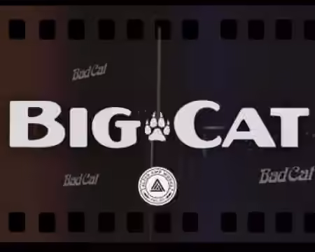 Alter Amp Works Big Cat Tonex Capture pack