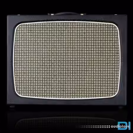 Amalgam Audio BRTL RLAND NAM Essential DI [Synth Presets]
