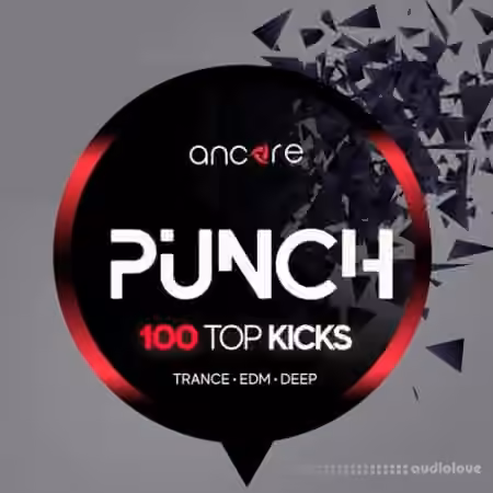 Ancore Sounds PUNCH 100 Top Kicks [WAV]