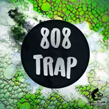Angry Parrot 808 Trap [WAV, MiDi, Synth Presets]