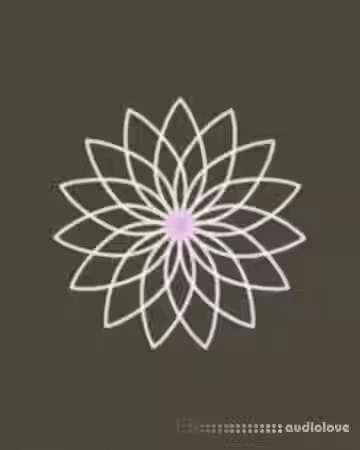 Anx Oneness A Creative Library [WAV]