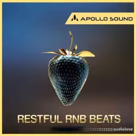APOLLO SOUND Restful RnB Beats [MULTiFORMAT]