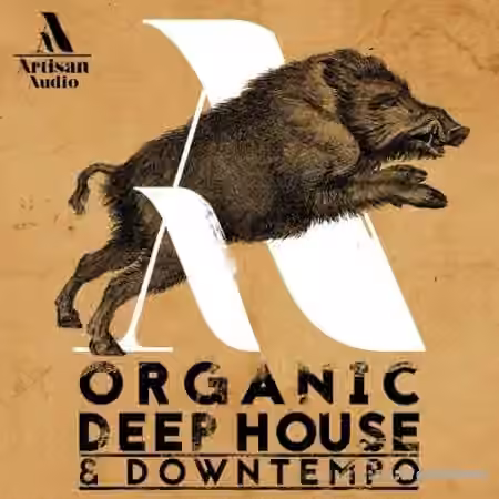 Artisan Audio Organic Deep House and Downtempo [WAV]