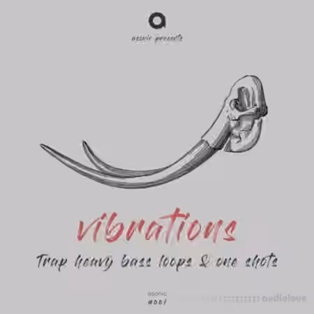 Asonic Vibrations [WAV]