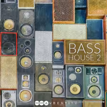 Audentity Records Bass House Vol.2 [WAV, Synth Presets]