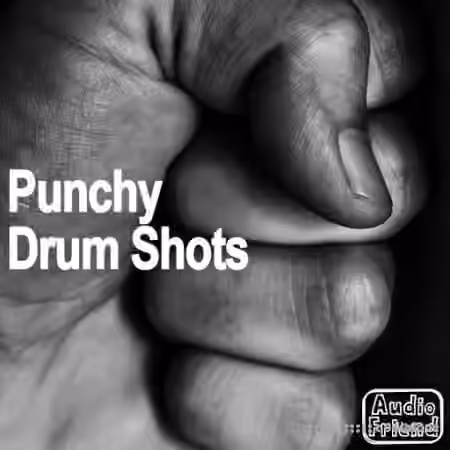 AudioFriend Punchy Drum Shots [WAV]