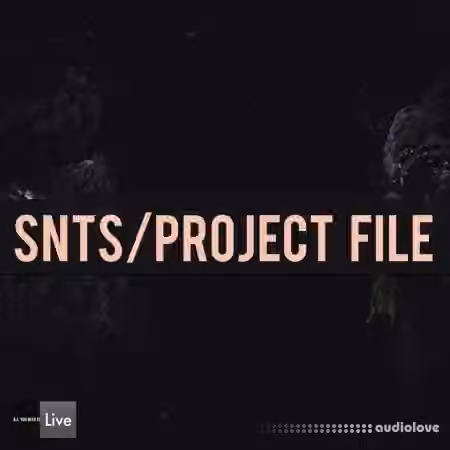 Audioreakt AYNIL SNTS [Ableton Live]