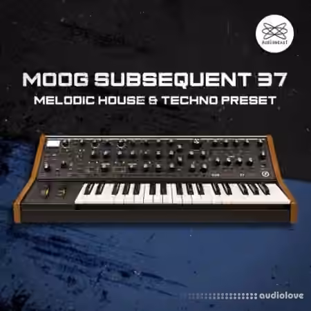 Audioreakt MOOG Subsequent 37: Melodic House and Techno Presets [Synth Presets]