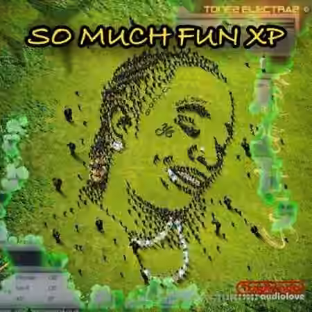 Ave Mcree So Much Fun XP for Tone2 ElectraX 1.4 or Higher [Synth Presets]