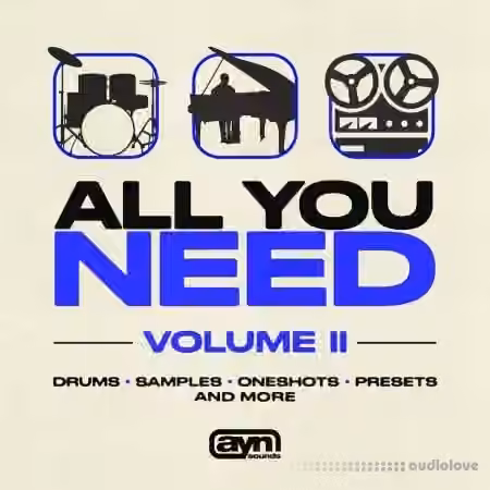 AYN Sounds All You Need Vol. II [WAV, MiDi, Synth Presets]
