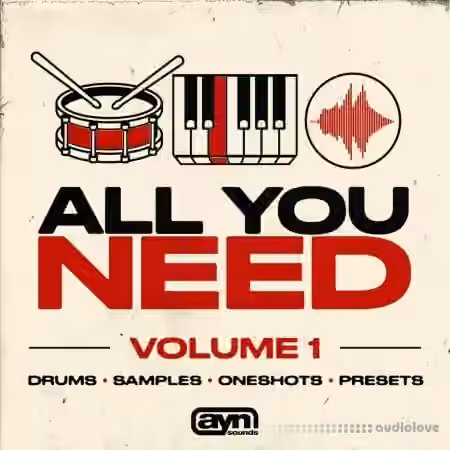 AYN Sounds All You Need Vol.1 (Multi-Kit) [WAV, Synth Presets]