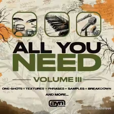 AYN Sounds All You Need Vol.3 Full Bundle [WAV, MiDi, Synth Presets]