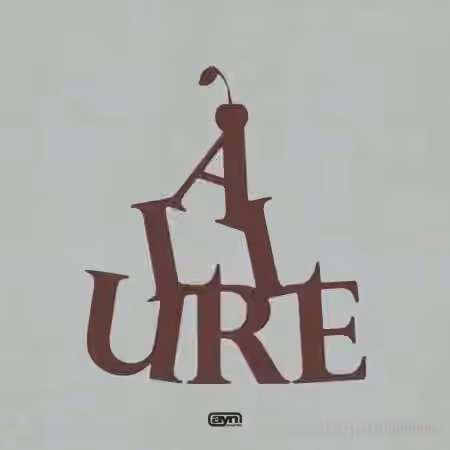 AYN Sounds Allure Multi-Kit [WAV, Synth Presets]