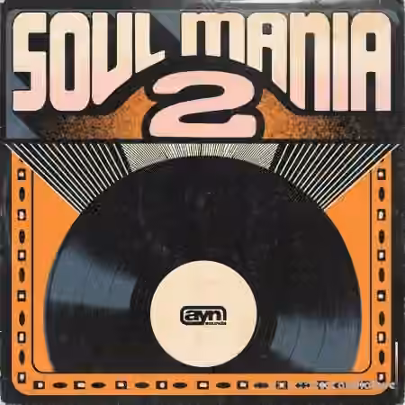 AYN Sounds Soul Mania Vol.2 Deluxe [WAV, MiDi, Synth Presets]