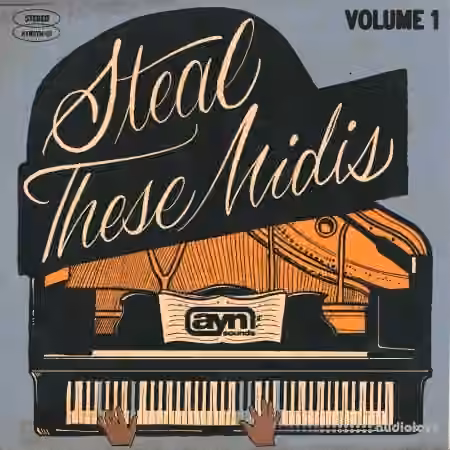 AYN Sounds Steal These Midis Vol.1 [MiDi]