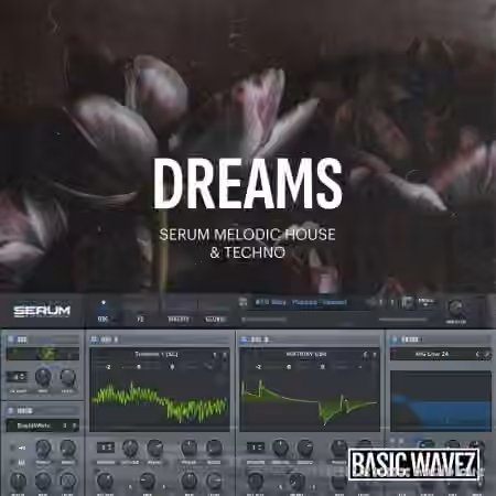 Baisc Wavez Dreams Melodic House and Techno Presets [Synth Presets]