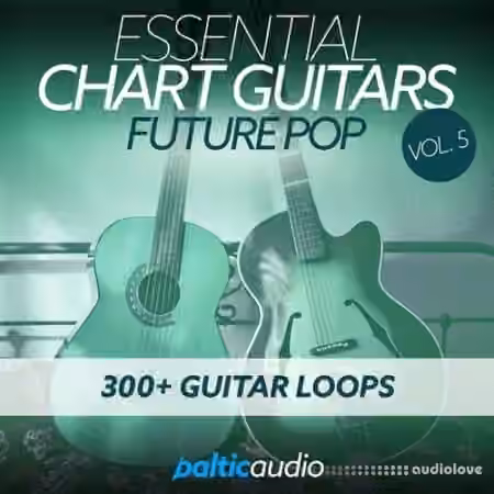 Baltic Audio Essential Chart Guitars Vol.5 [WAV]