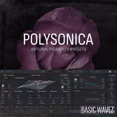 Basic Wavez Polysonica Arturia Pigments Presets For Melodic House And Techno [Synth Presets]