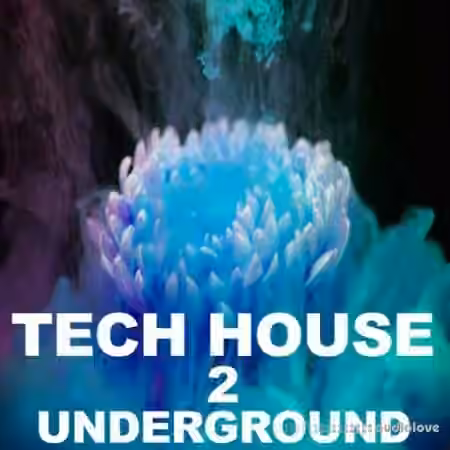Beatrising Tech House Underground 2 [WAV]
