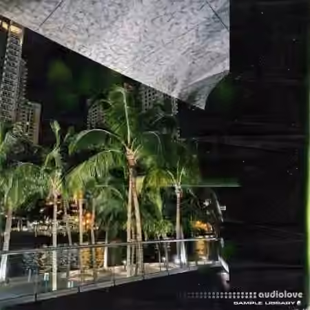 beatsbycarpp Vibes Outta Miami [WAV]