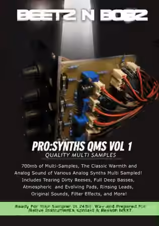 Beetz N Bobz Pro Synths QMS Vol.1 [KONTAKT]