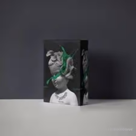 BELDONDIDTHAT Drip Harder (Loop Kit) [WAV]
