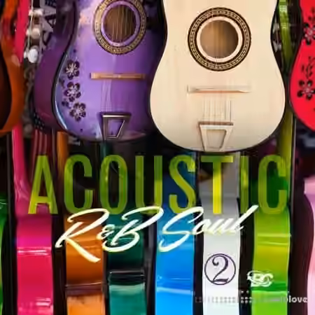Big Citi Loops Acoustic R&B Soul 2 [WAV]