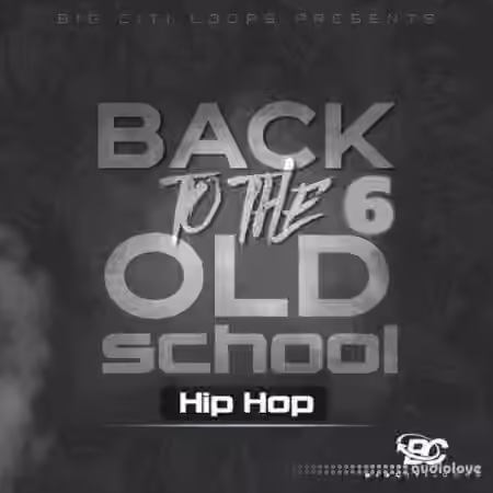 Big Citi Loops Back To The Old School: Hip Hop 6 [WAV]