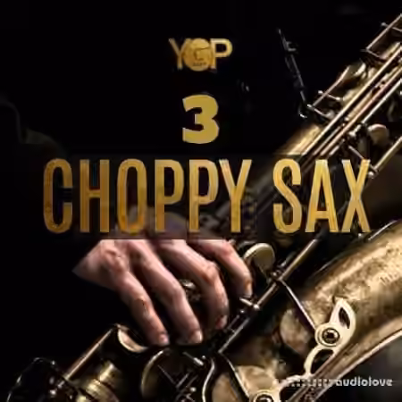 Big Citi Loops Choppy Sax 3 [WAV]