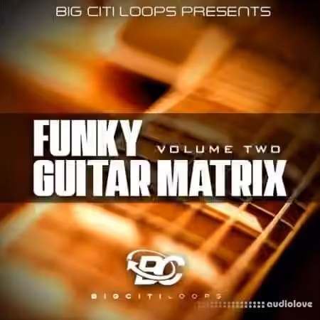Big Citi Loops Funky Guitar Matrix Vol 2 [WAV]