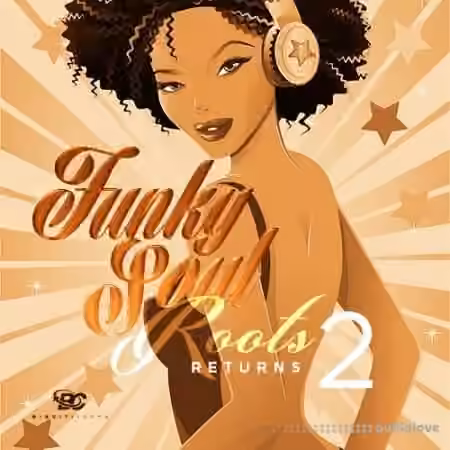 Big Citi Loops Funky Soul Roots Returns 2 [WAV]