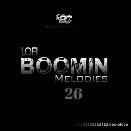 Big Citi Loops Lofi Boomin Melodies 26 [WAV]