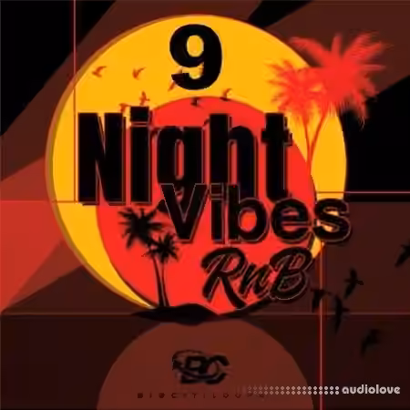 Big Citi Loops Night Vibes RnB 9 [WAV]