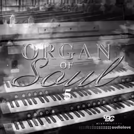 Big Citi Loops Organ Of Soul 5 [WAV]