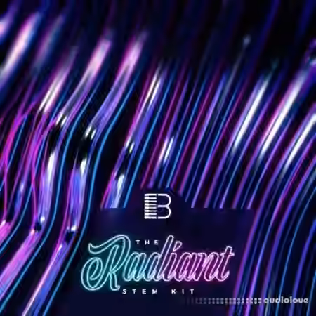 Big Citi Loops Radiant Loop Pack Vol.1 [WAV]