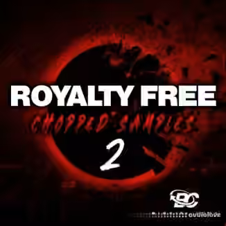 Big Citi Loops Royalty-Free Chopped Samples 2 [WAV]