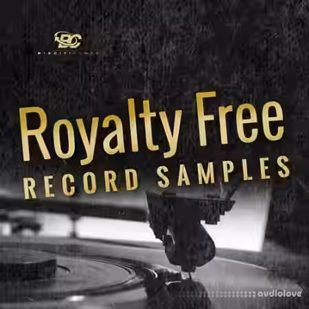 Big Citi Loops Royalty-Free Record Samples [WAV, REX]