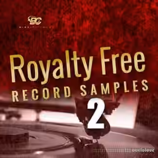 Big Citi Loops Royalty-Free Record Samples Part 2 [WAV]